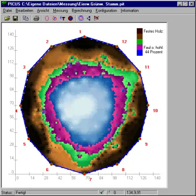 Bildschirmfoto vom Auswertungsprogramm der PICUS-Schalltomographie
